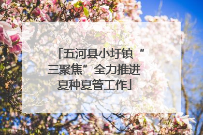五河县小圩镇“三聚焦”全力推进夏种夏管工作