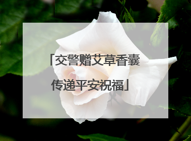 交警赠艾草香囊 传递平安祝福