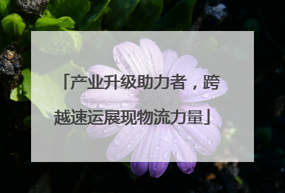产业升级助力者，跨越速运展现物流力量