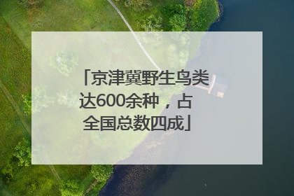 京津冀野生鸟类达600余种，占全国总数四成