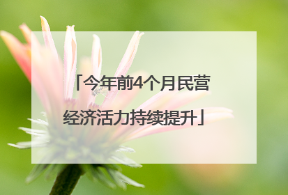 今年前4个月民营经济活力持续提升