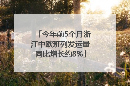 今年前5个月浙江中欧班列发运量同比增长约8%