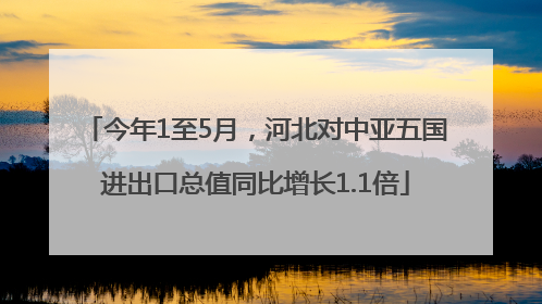 今年1至5月，河北对中亚五国进出口总值同比增长1.1倍