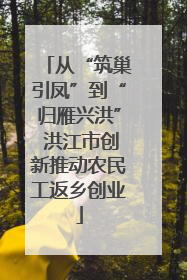 从“筑巢引凤”到“归雁兴洪” 洪江市创新推动农民工返乡创业