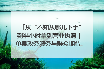 从“不知从哪儿下手”到半小时拿到营业执照｜单县政务服务与群众期待的“双向奔赴”