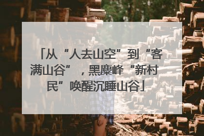 从“人去山空”到“客满山谷”，黑麋峰“新村民”唤醒沉睡山谷