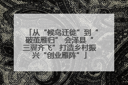从“候鸟迁徙”到“破茧雁归” 会泽县“三翼齐飞”打造乡村振兴“创业雁阵”
