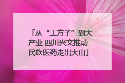 从“土方子”到大产业 四川兴文推动民族医药走出大山