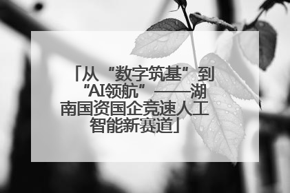 从“数字筑基”到“AI领航”——湖南国资国企竞速人工智能新赛道