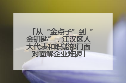 从“金点子”到“金钥匙”，江汉区人大代表和职能部门面对面解企业难题