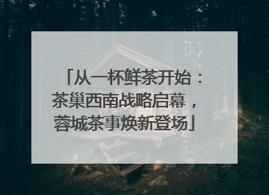 从一杯鲜茶开始：茶巢西南战略启幕，蓉城茶事焕新登场
