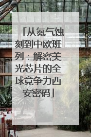 从氮气蚀刻到中欧班列：解密美光芯片的全球竞争力西安密码