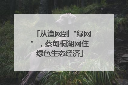 从渔网到“绿网”，蔡甸桐湖网住绿色生态经济