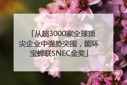从超3000家全球顶尖企业中强势突围，能环宝蝉联SNEC金奖