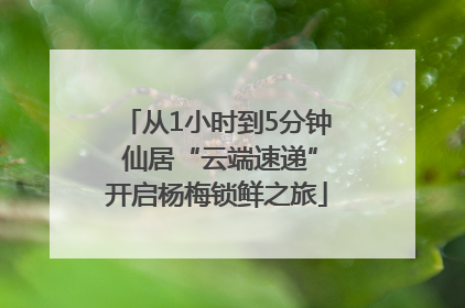 从1小时到5分钟 仙居“云端速递”开启杨梅锁鲜之旅