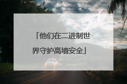 他们在二进制世界守护高墙安全