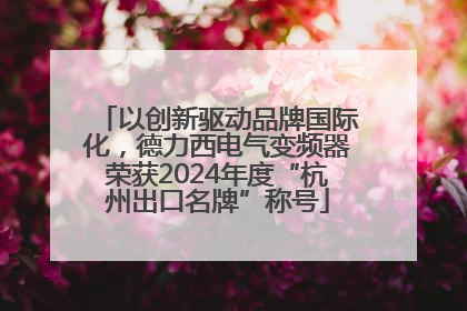 以创新驱动品牌国际化，德力西电气变频器荣获2024年度“杭州出口名牌”称号