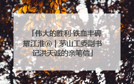 伟大的胜利·铁血丰碑耀江淮⑥｜茅山工委副书记洪天诚的亲笔信