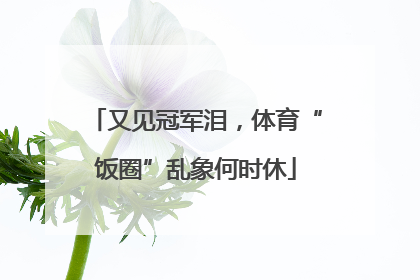 又见冠军泪，体育“饭圈”乱象何时休