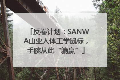 反卷计划：SANWA山业人体工学鼠标，手腕从此“躺赢”