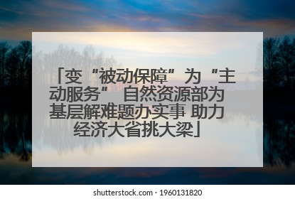变“被动保障”为“主动服务” 自然资源部为基层解难题办实事 助力经济大省挑大梁