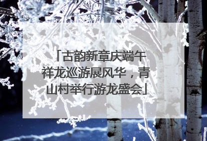 古韵新章庆端午 祥龙巡游展风华，青山村举行游龙盛会