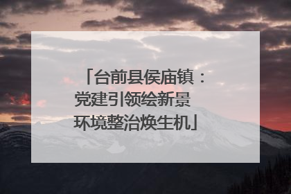 台前县侯庙镇：党建引领绘新景 环境整治焕生机