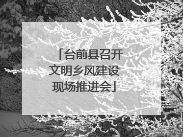 台前县召开文明乡风建设现场推进会