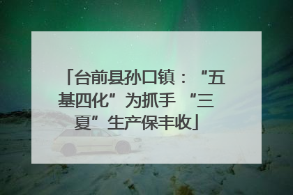 台前县孙口镇：“五基四化”为抓手 “三夏”生产保丰收