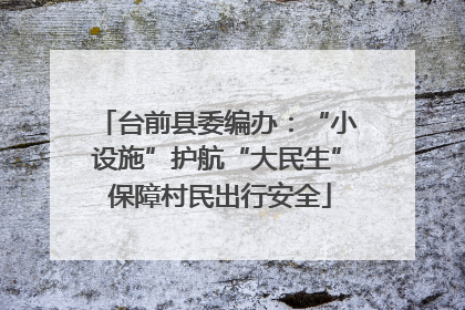 台前县委编办：“小设施”护航“大民生” 保障村民出行安全