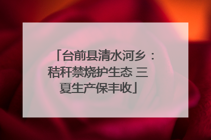 台前县清水河乡：秸秆禁烧护生态 三夏生产保丰收