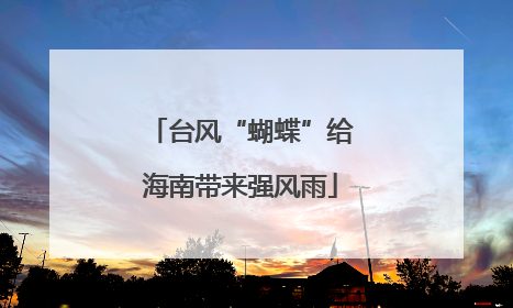 台风“蝴蝶”给海南带来强风雨