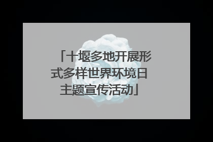 十堰多地开展形式多样世界环境日主题宣传活动