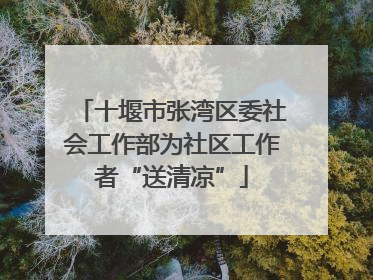 十堰市张湾区委社会工作部为社区工作者“送清凉”