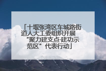 十堰张湾区车城路街道人大工委组织开展 “聚力建支点·建功示范区”代表行动