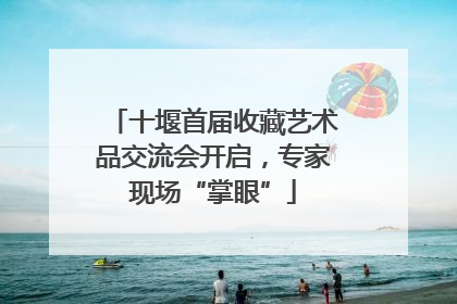 十堰首届收藏艺术品交流会开启，专家现场“掌眼”