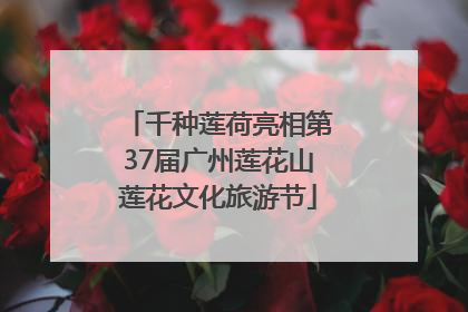 千种莲荷亮相第37届广州莲花山莲花文化旅游节