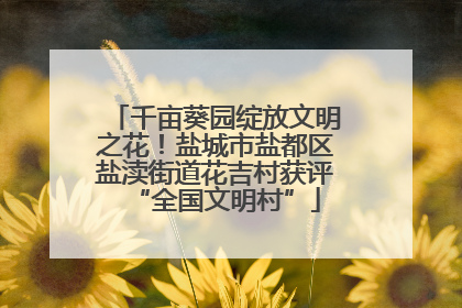 千亩葵园绽放文明之花！盐城市盐都区盐渎街道花吉村获评“全国文明村”