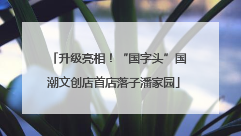 升级亮相！“国字头”国潮文创店首店落子潘家园