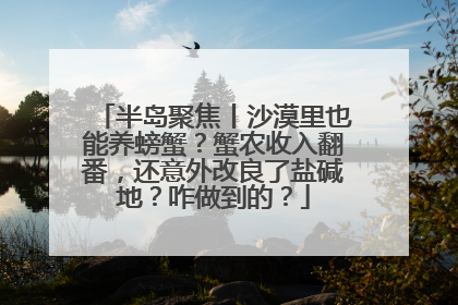 半岛聚焦丨沙漠里也能养螃蟹？蟹农收入翻番，还意外改良了盐碱地？咋做到的？