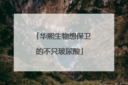 华熙生物想保卫的不只玻尿酸