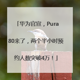 华为官宣，Pura 80来了，两个半小时预约人数突破4万！