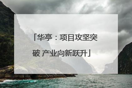 华亭：项目攻坚突破 产业向新跃升