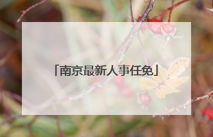 南京最新人事任免