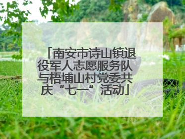 南安市诗山镇退役军人志愿服务队与梧埔山村党委共庆“七一”活动