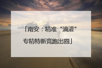 南安：精准“滴灌”专精特新竞跑出圈