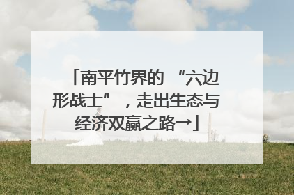 南平竹界的 “六边形战士”，走出生态与经济双赢之路→