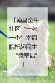 南昌金牛社区“一老一小”幸福院托起民生“微幸福”