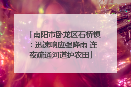 南阳市卧龙区石桥镇：迅速响应强降雨 连夜疏通河道护农田