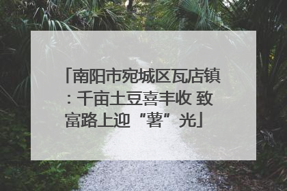 南阳市宛城区瓦店镇：千亩土豆喜丰收 致富路上迎“薯”光
